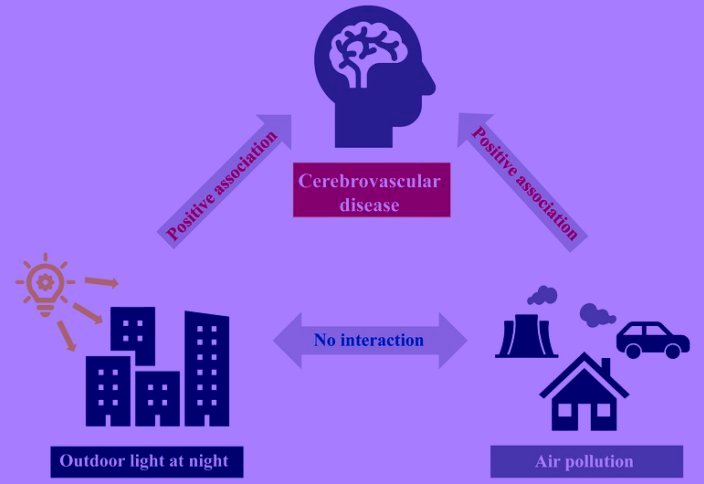 Түнгі жарық пен ластанған ауа инсульт алу қатерін арттырады