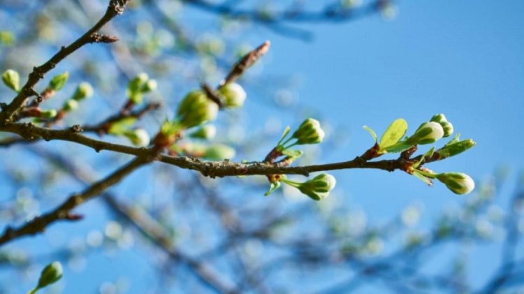 Демалыс күндері ауа райы қандай болады?