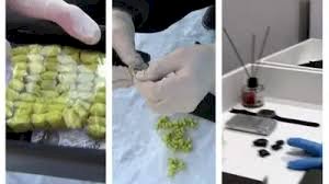 Telegram арқылы есірткі сатқан