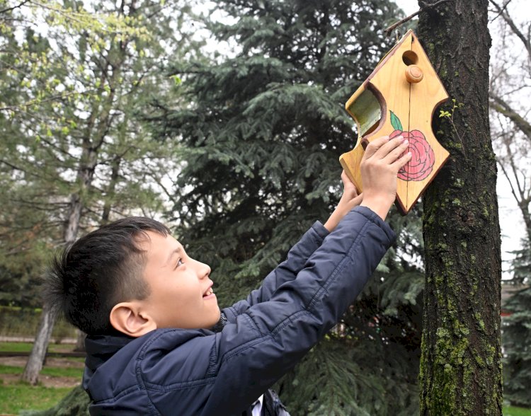 Балалар Handmade: алматылық оқушылар мыңнан астам құс ұясын жасады