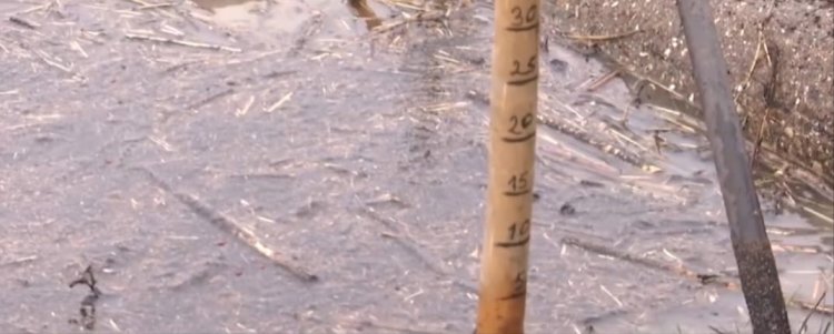 Солтүстікте жағдай күрделі. Елдегі су қоймаларының қазіргі ахуалы қандай?