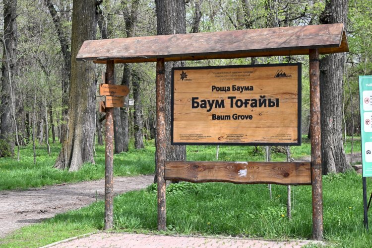 «Алматы - біздің ортақ үйіміз» науқаны аясында Баум тоғайында плоггинг өтті