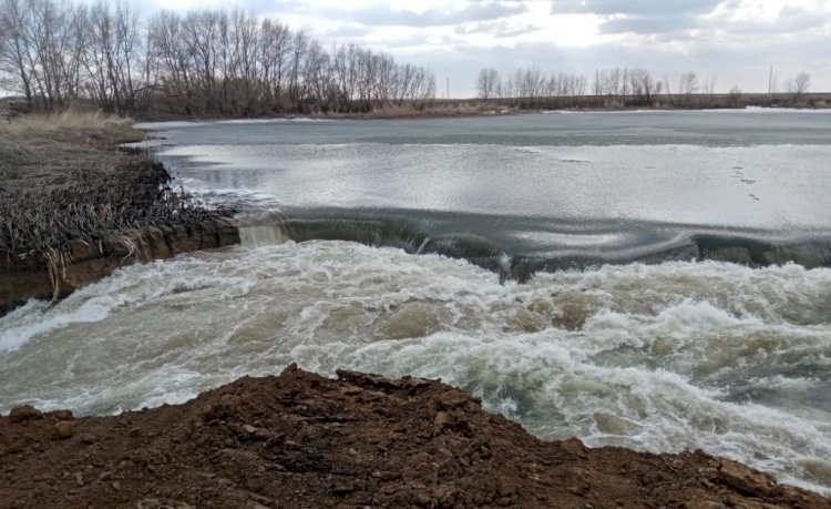 Жайық ағады, жұлқылай соғып жағаны...