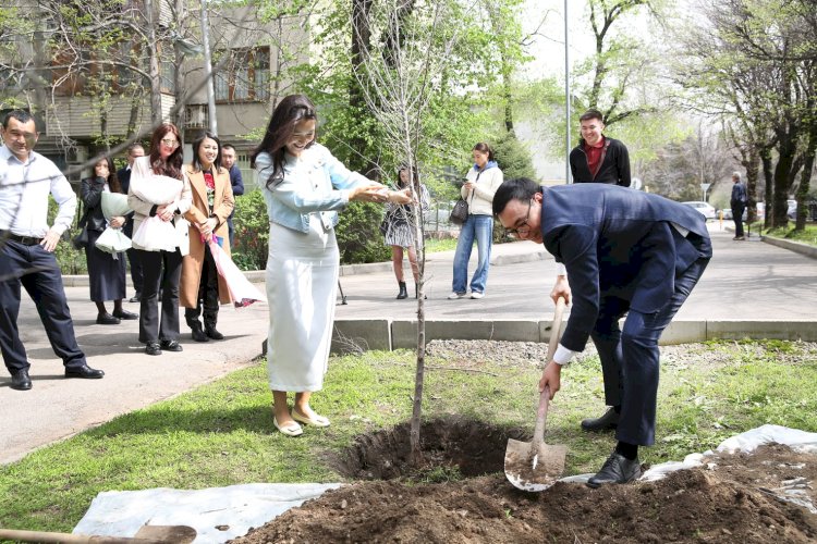 Алматыда Қозы Көрпеш-Баян Сұлу күні мыңнан астам ағаш отырғызылды