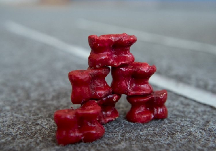 Елордада асық атудан ел чемпионаты басталды  