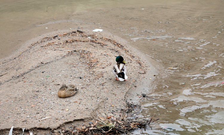 Мамырда күн райы қандай болады?