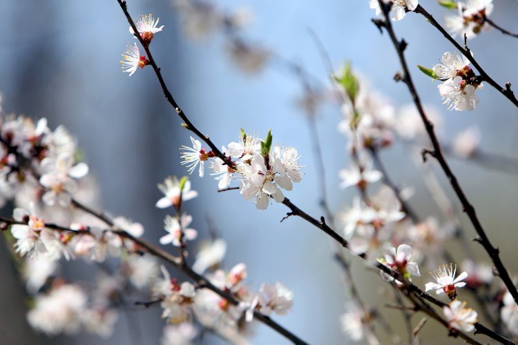 19 сәуірге арналған ауа райы болжамы