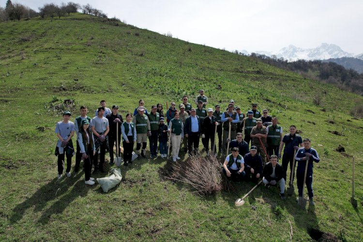 «Алматы - біздің ортақ үйіміз»: Бутаковка тауларында 500 өрік көшеті отырғызылды