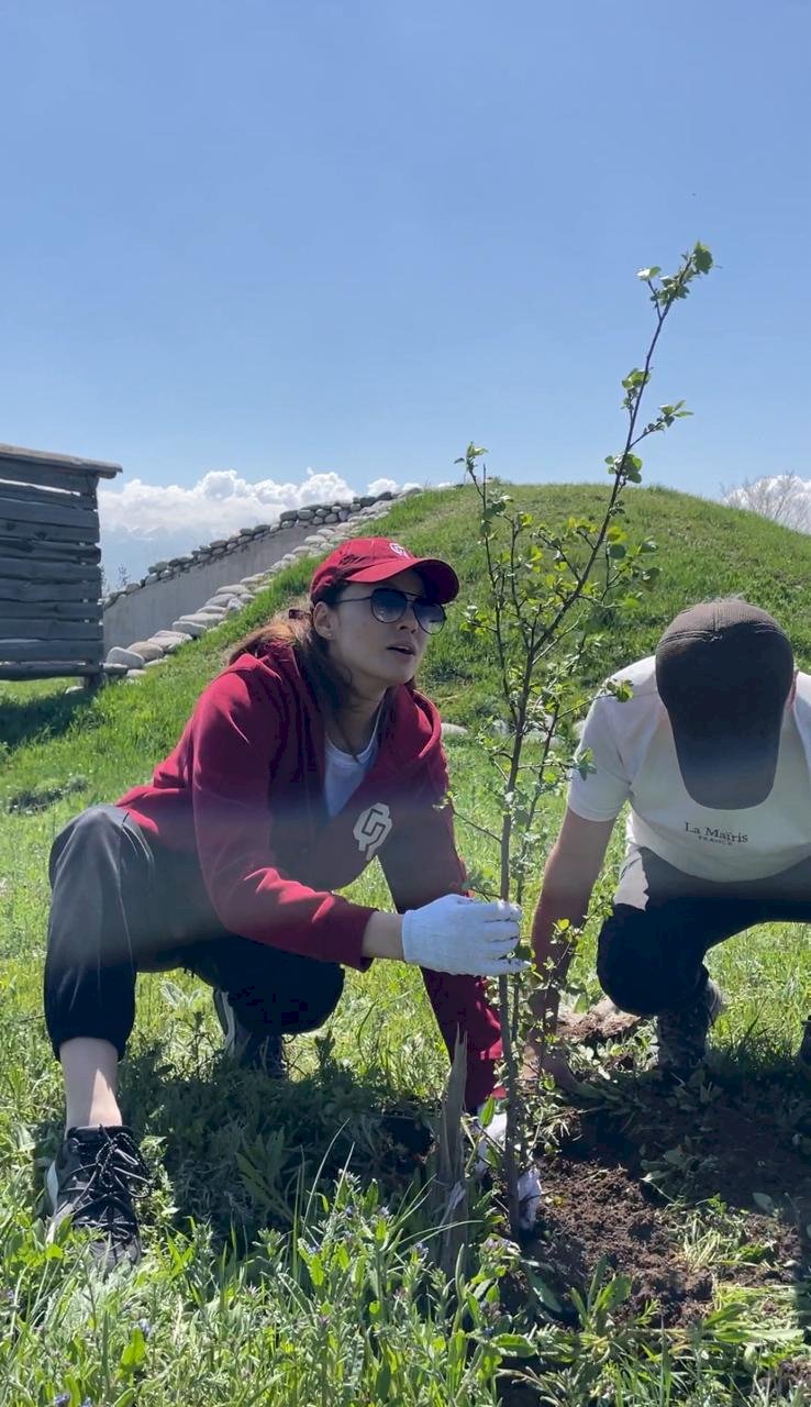 Боралдай сақ қорғандарының аумағына 100 түп ағаш отырғызылды