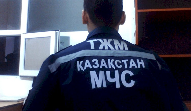 Алматы облысында саңырауқұлақ теруге шығып, жоғалғандар табылды