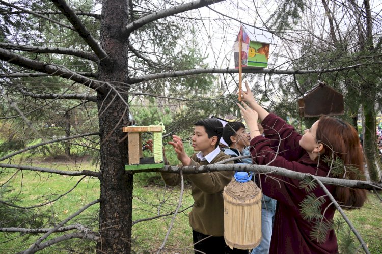 1 мыңнан астам құс ұясы мен 10 мың ағаш