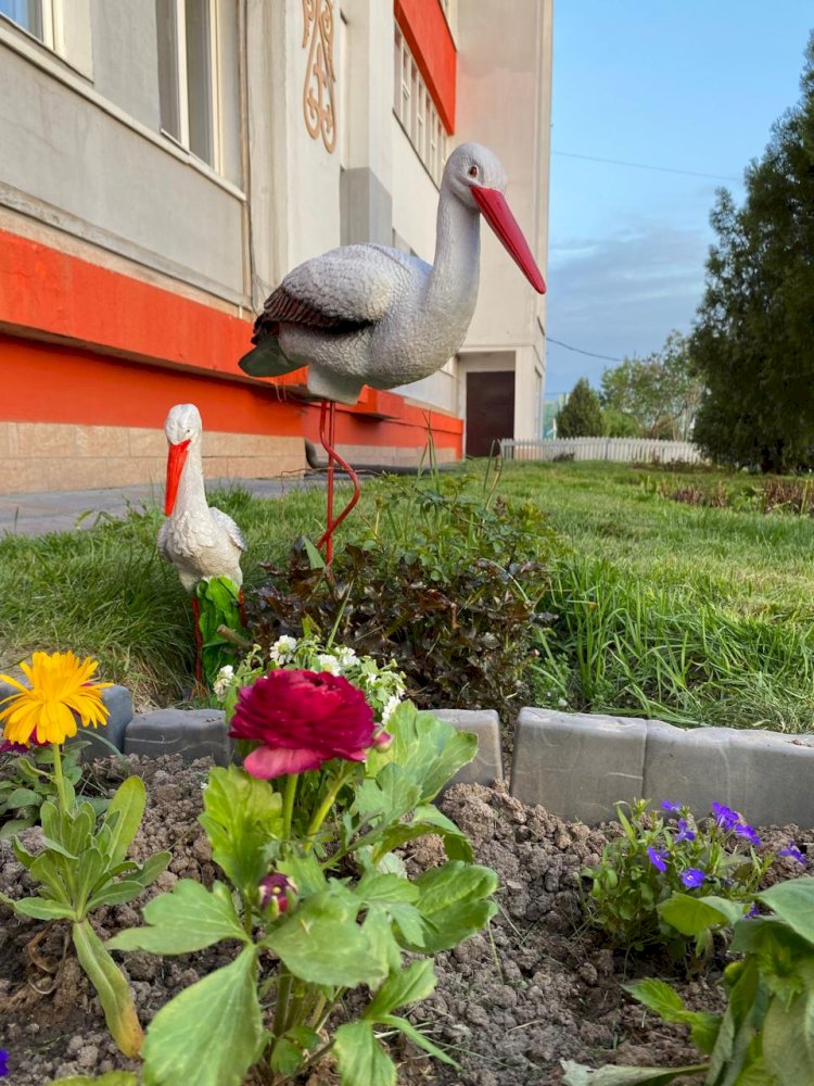 «Мектеп ауласының оазисі» ландшафт дизайны фестивалі ұйымдастырылды