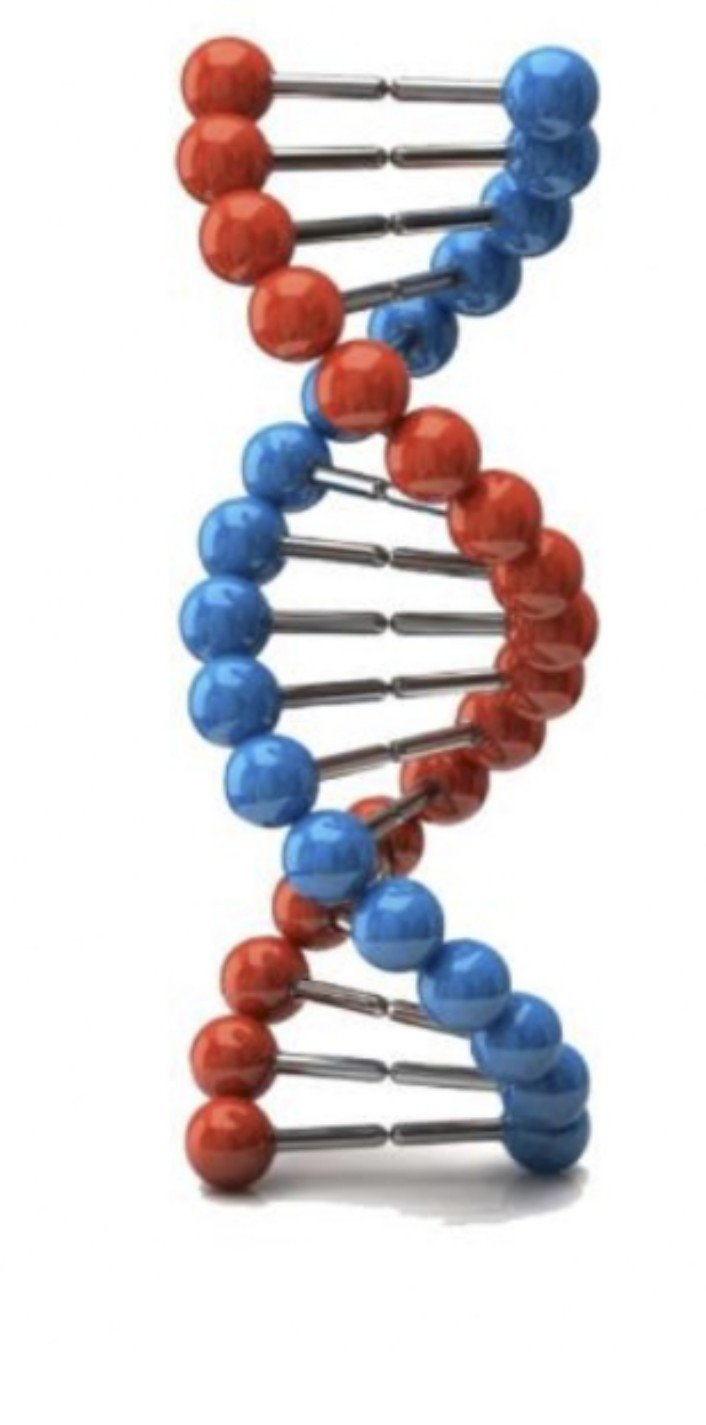 Бүгін - Халықаралық ДНҚ күні