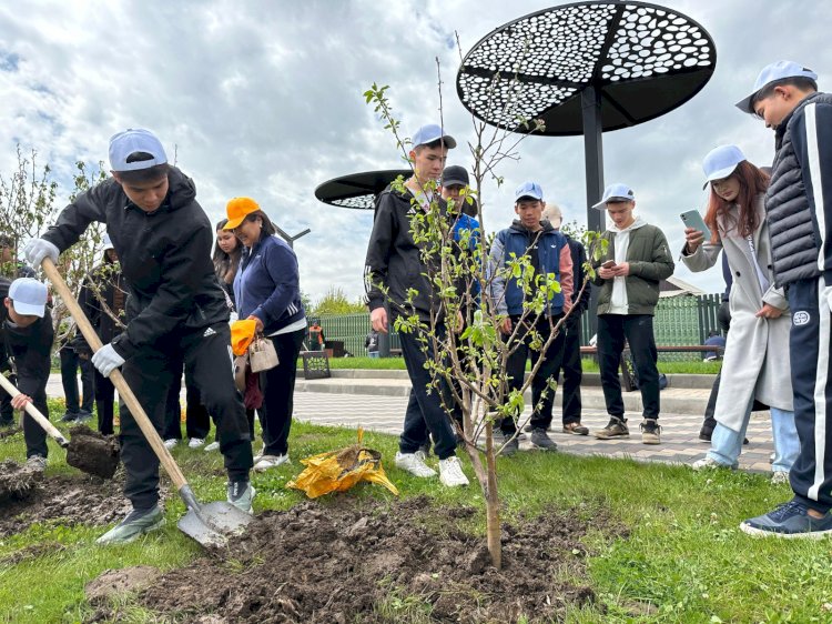 «Алматы – бақша қаласы": танымал алматылықтар бастаманы қолдап, алма ағаштарын отырғызды