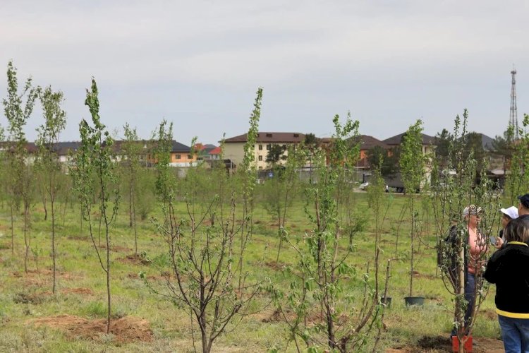 «Таза Қазақстан» акциясына 1 миллионнан астам адам қатысты