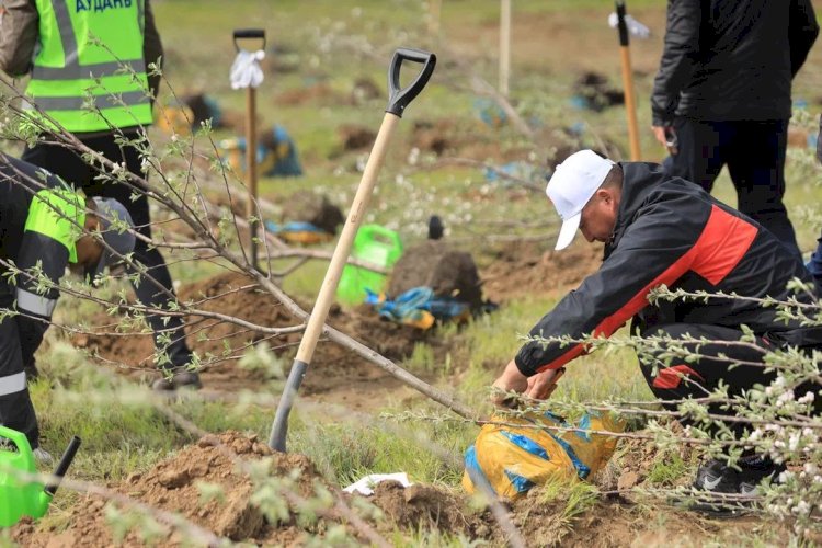 Алма Аманжолова: Алматымыз әдемі гүлденген бақ болуы керек!