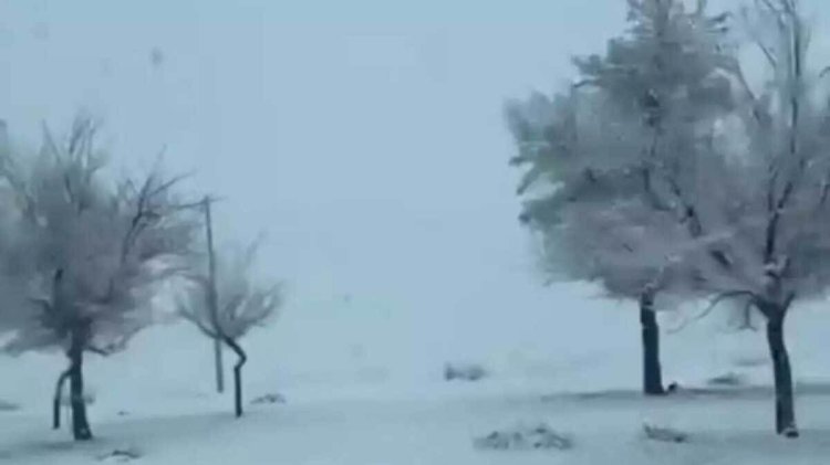 Жамбыл облысында қар жауды