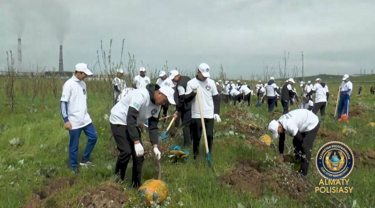 Алматылық полицейлер де көшет егуден қалыс қалмады
