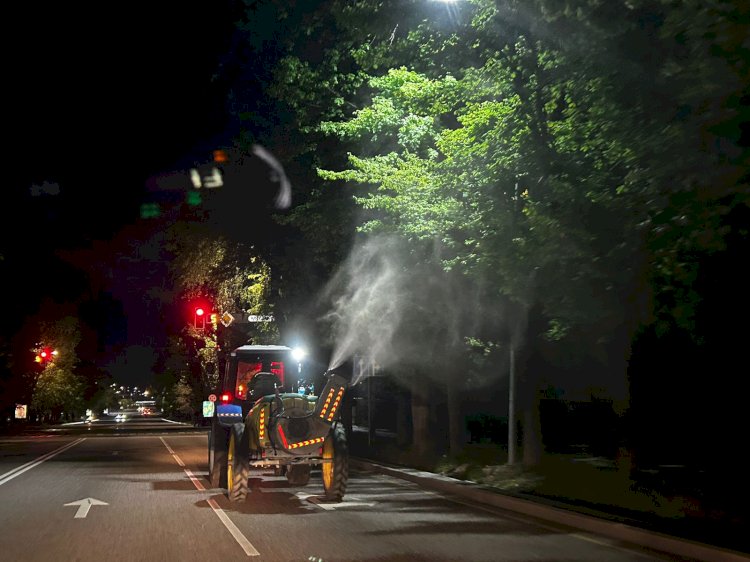 Алматыда жыл сайынғы ағаштарды биологиялық өңдеу жұмыстары жүргізілуде