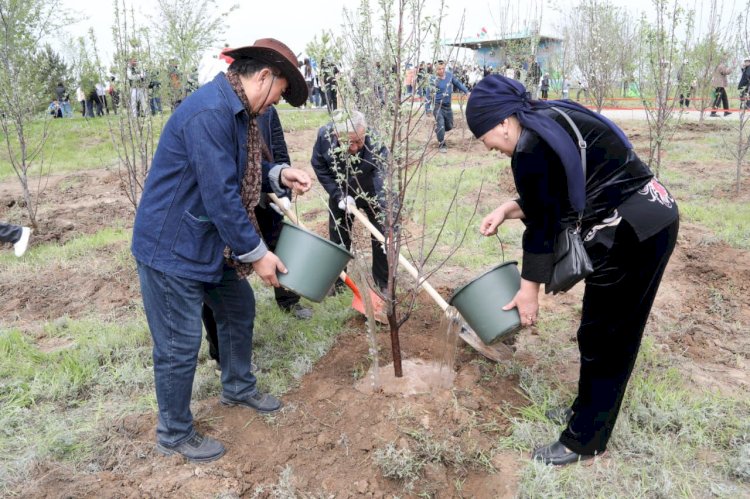 «Өнегелі ұрпақ»: Алматыда жастар мен ардагерлер алма бағын жандандырып отыр