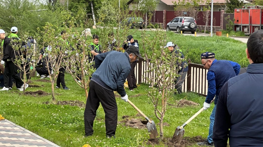 Нью-Йорктегі Орталық сабақтан да көп: Алматыда бір айда 30 мың ағаш отырғызылды