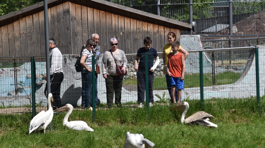 Алматы хайуанаттар бағында жазғы мектепке өтінім қабылдау басталды