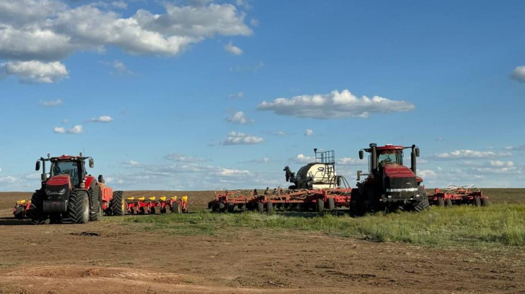 Бүгінгі күні республика бойынша 7 млн га егін егілген