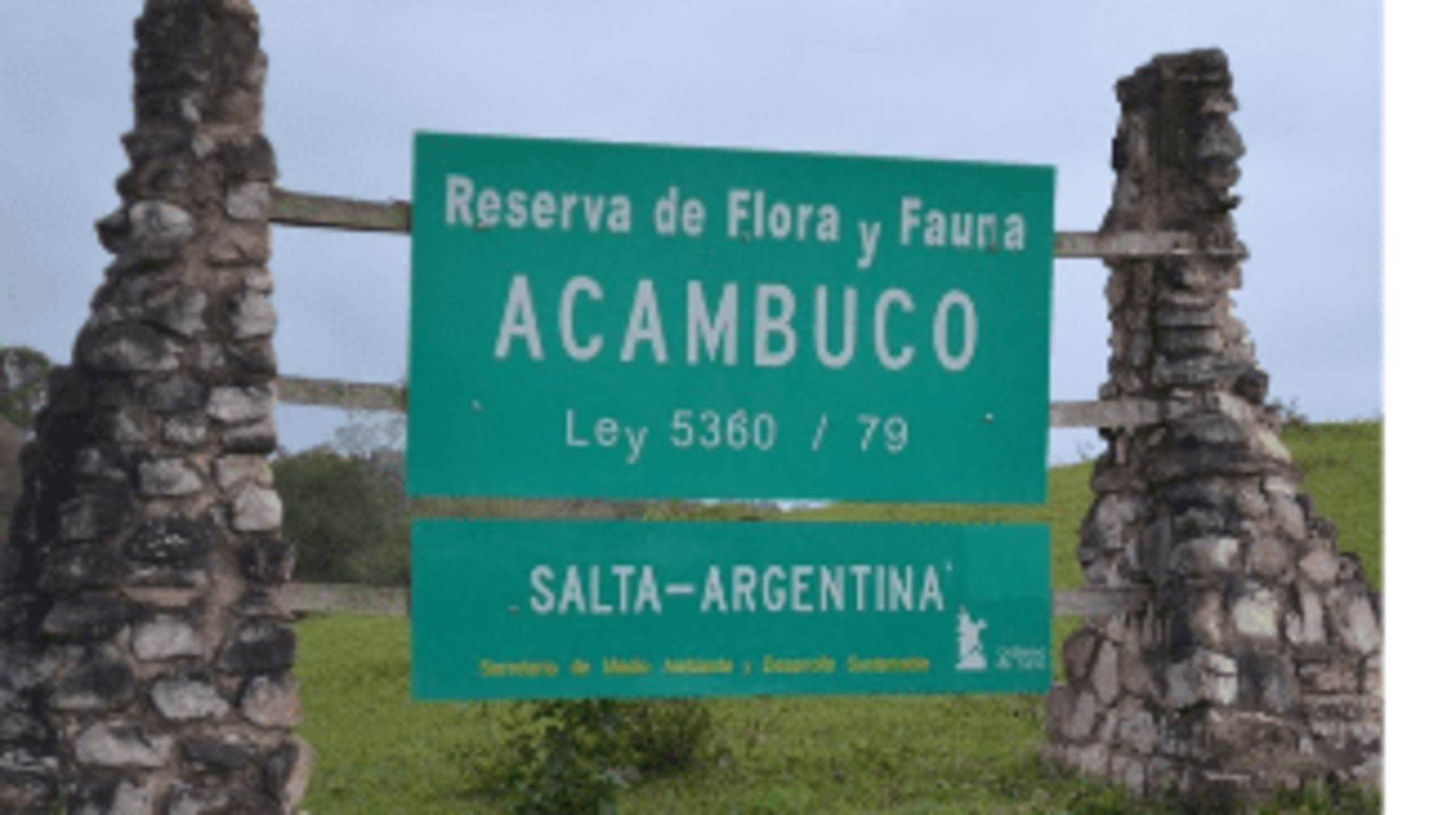 Димаштың шетелдегі жанкүйерлері әншінің туған күніне орай экологиялық акция өткізді