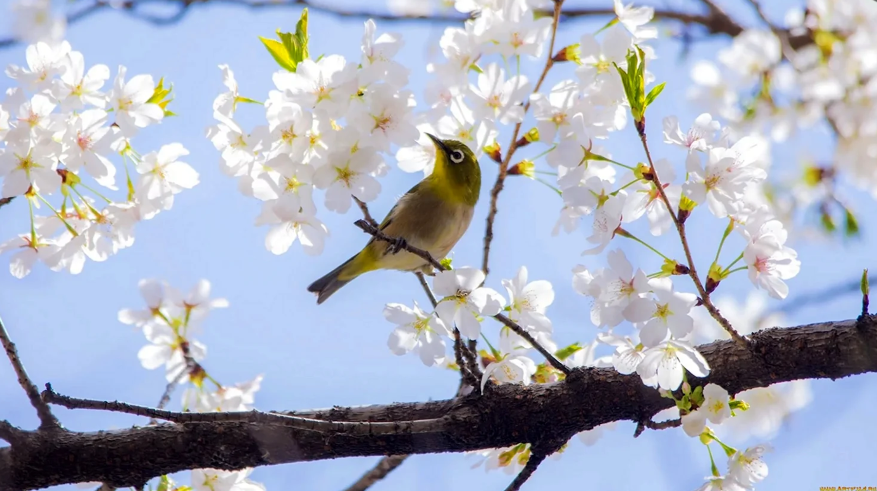 57 жыл бұрынғы температура рекорды жаңарды