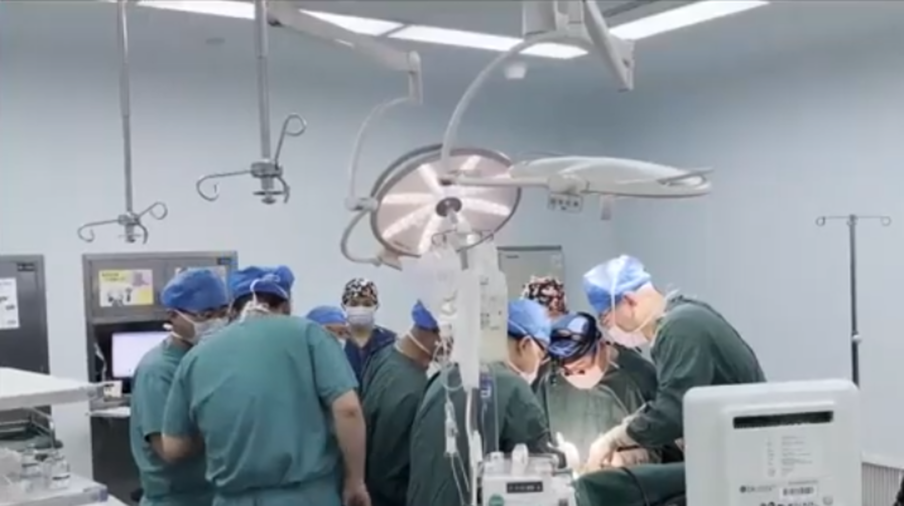 Қытай дәрігерлері адамға доңыз бауырын салды  