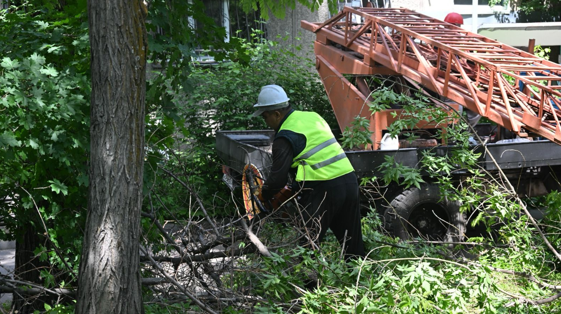Абаттандыру және көгалдандыру: Алматыда «Таза Қазақстан» республикалық акциясы жалғасады