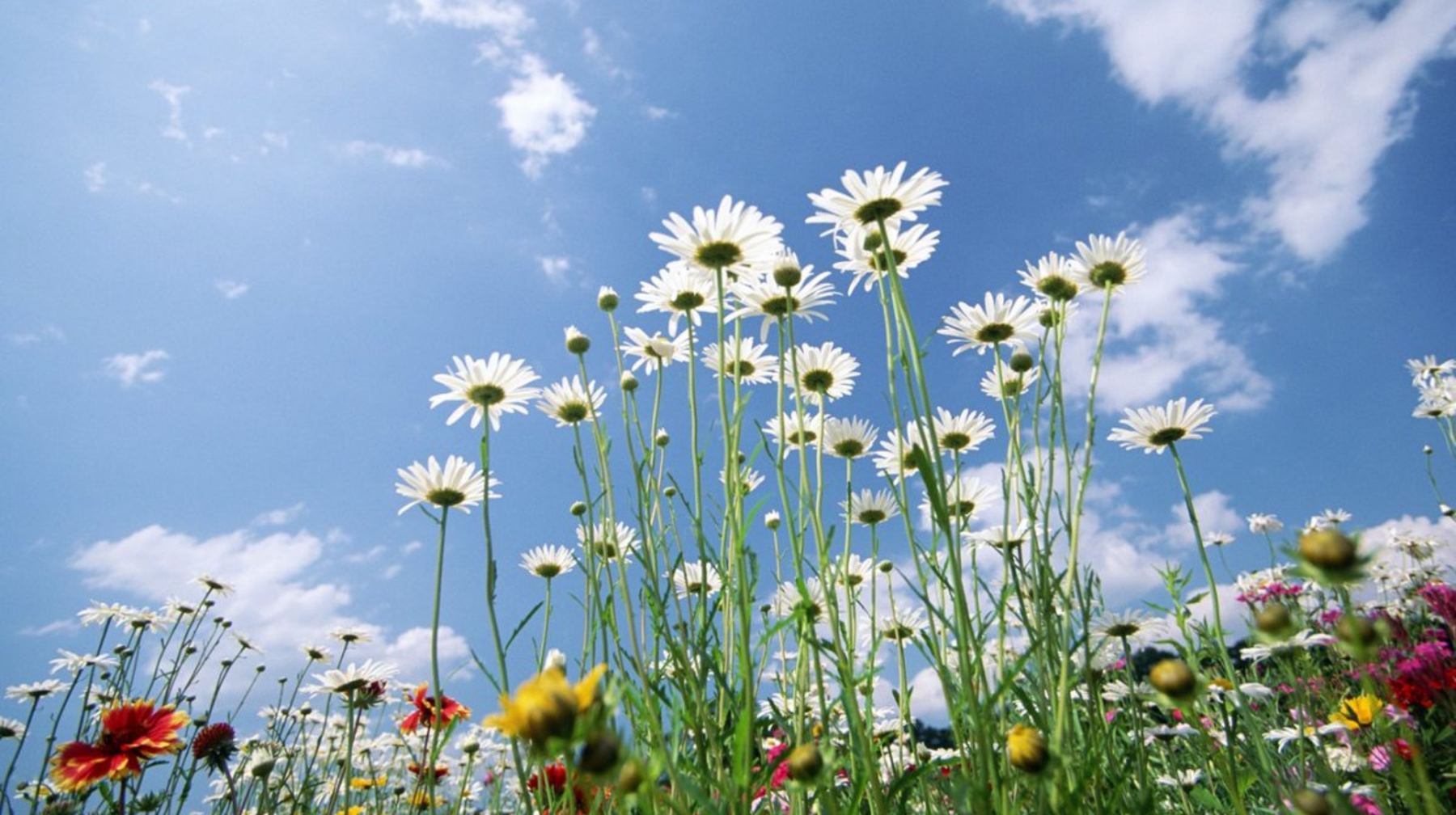 Маусымның екісі, жексенбіге арналған ауа райы болжамы