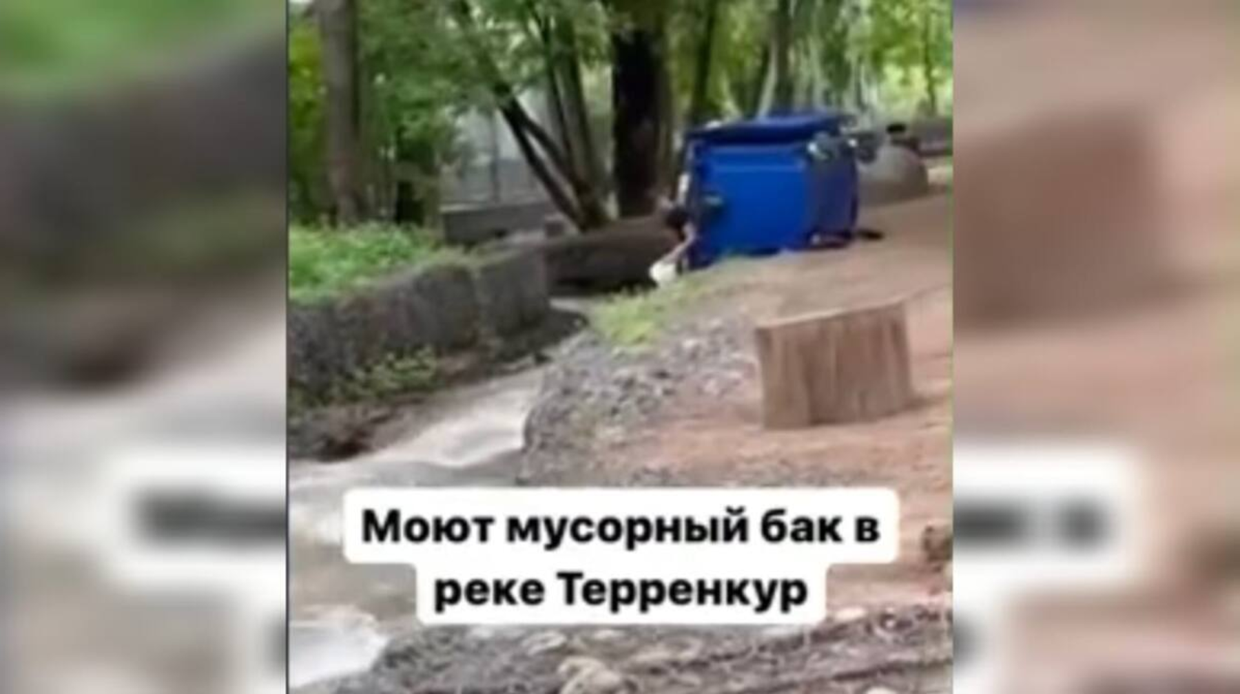 Тереңқұр өзенінде қоқыс жәшігін жуған Алматы дәмханаларының біріне айыппұл салынды