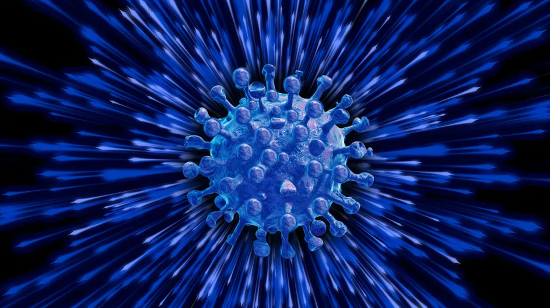 Ресейдің Қазақстанмен шекаралас облысында карантиндік шектеулер енгізіле бастады