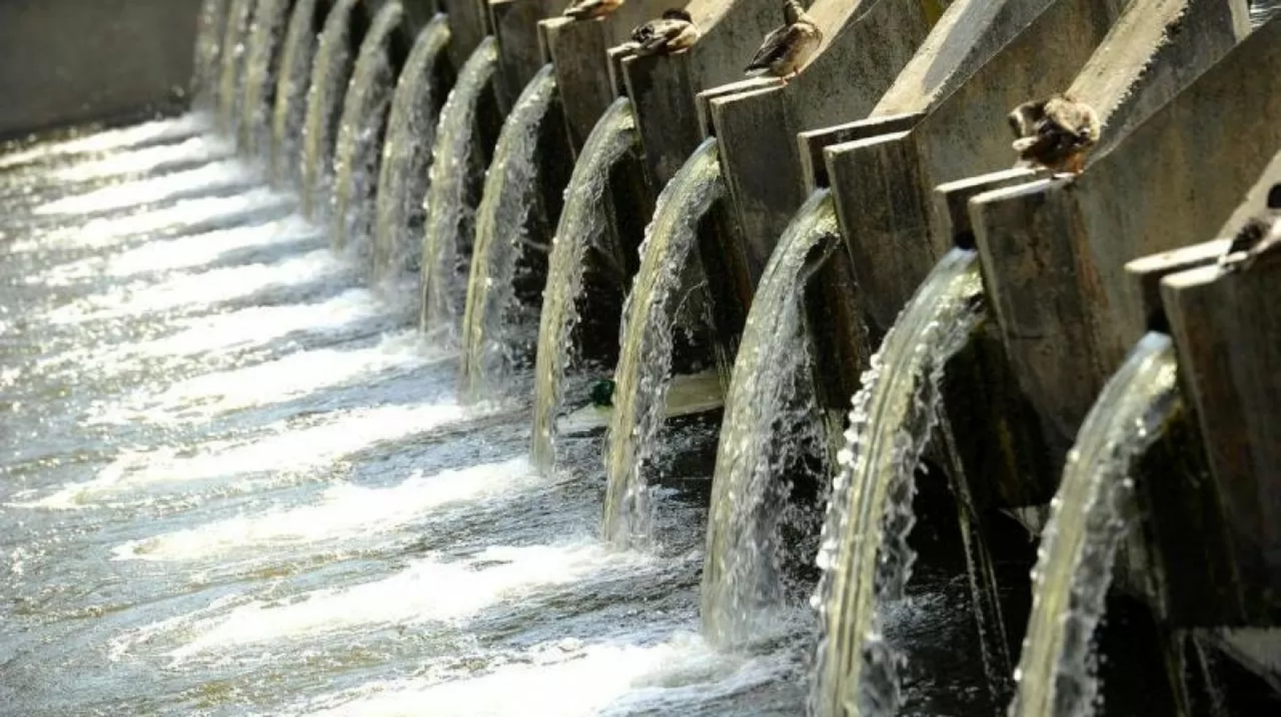 Судың «қара нарығы» үшін сала министрлігі жауапкершілікті күшейтеді