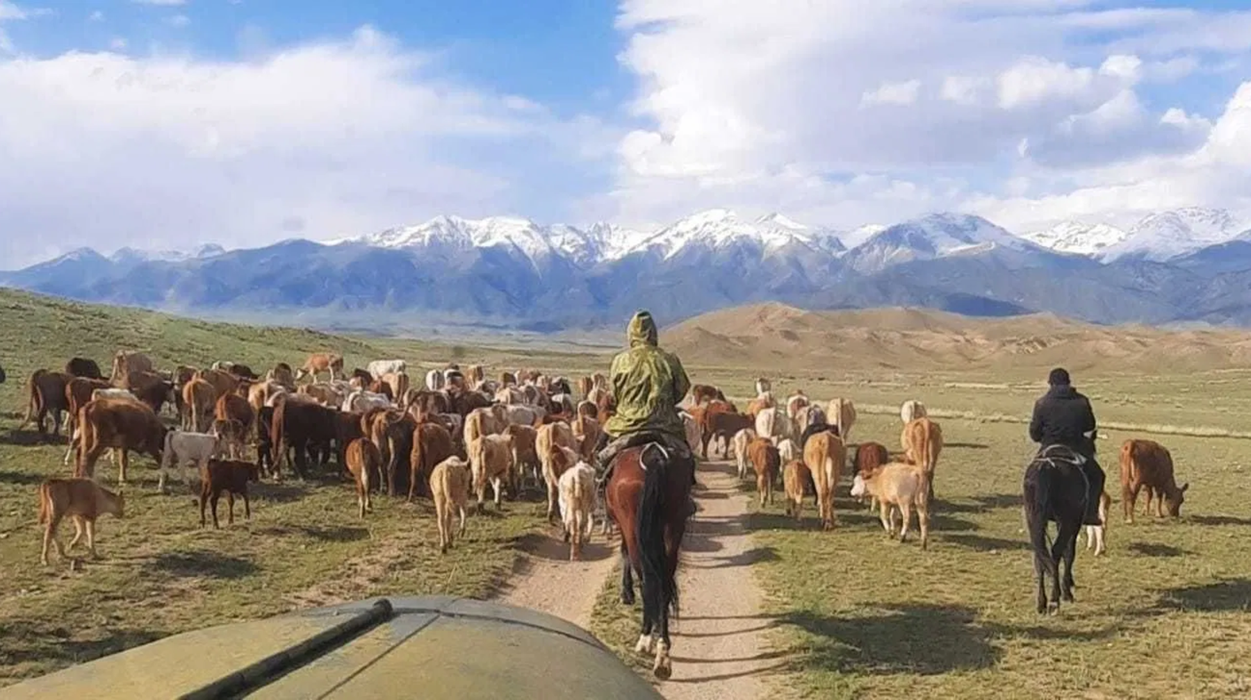 Қазақстанда малшылар күні: Мал шаруашылығындағы оң өзгерістер
