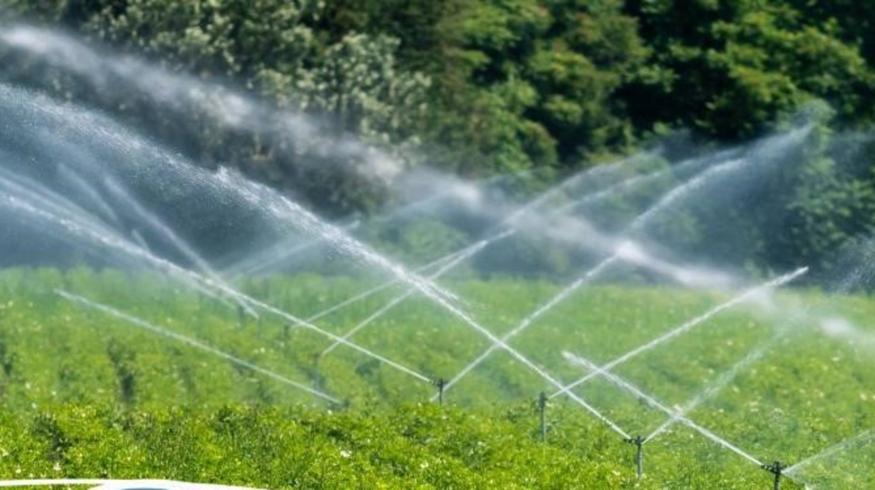 Елімізде суару маусымы басталғалы шаруаларға 2 млрд текше метр су берілді