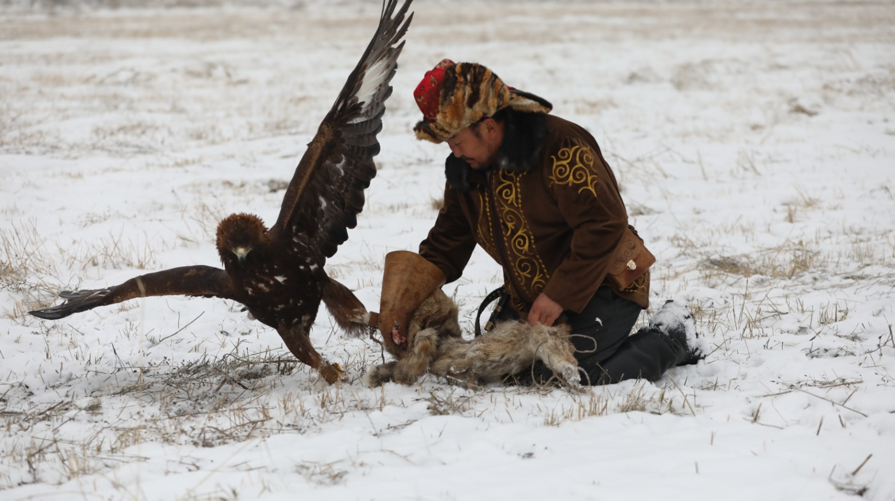 Bт жүгіртіп, құс салатын кез келді
