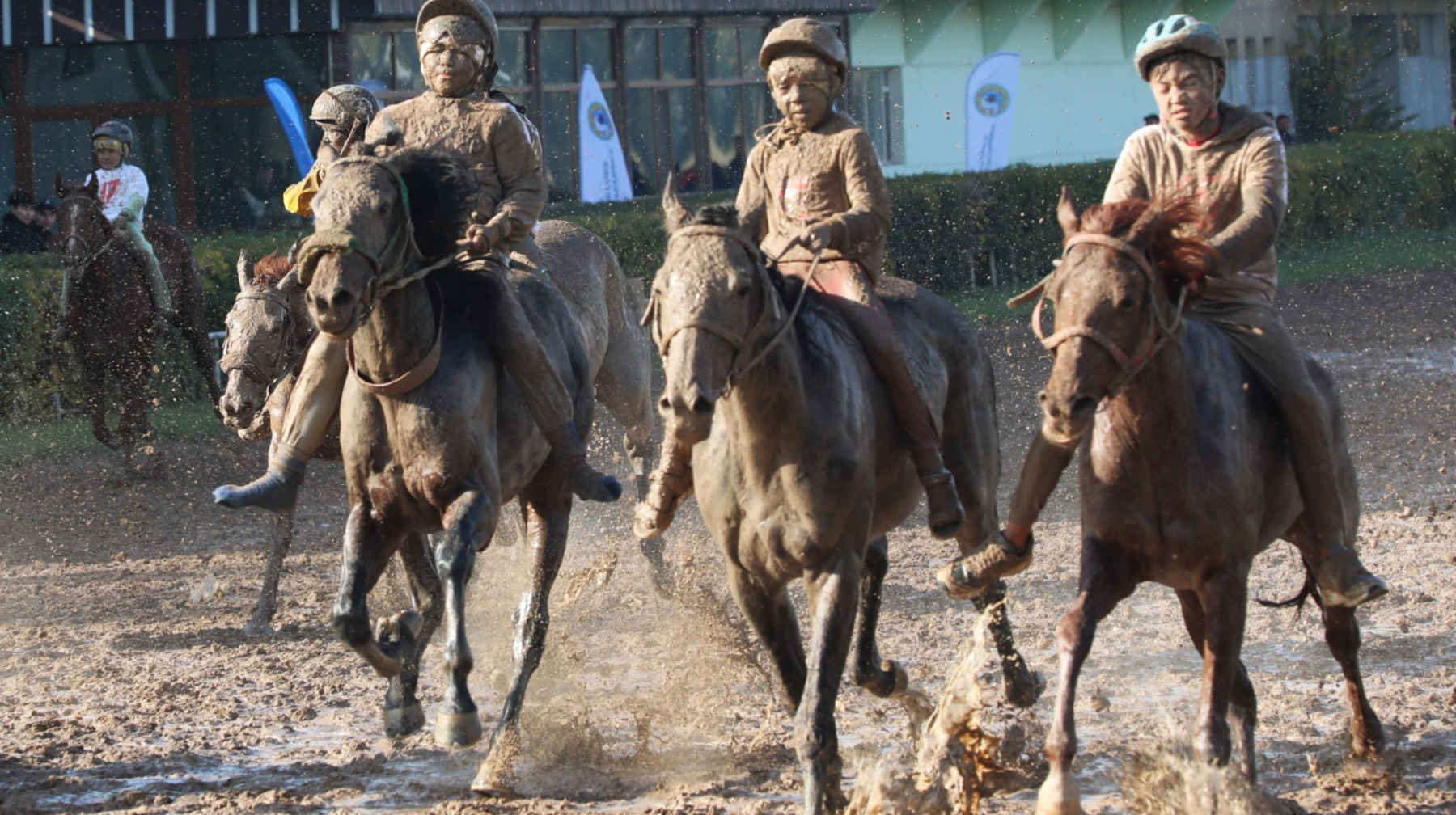Тұлпарлар қыр төсінде дүбір қақса...