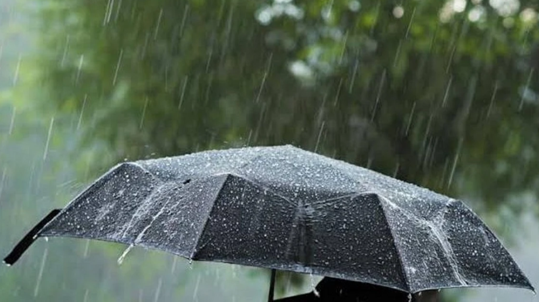 19 маусымға арналған ауа райы болжамы