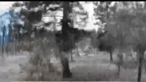 Америкада орман өртінен бүтін бір ауыл жанып кетті  