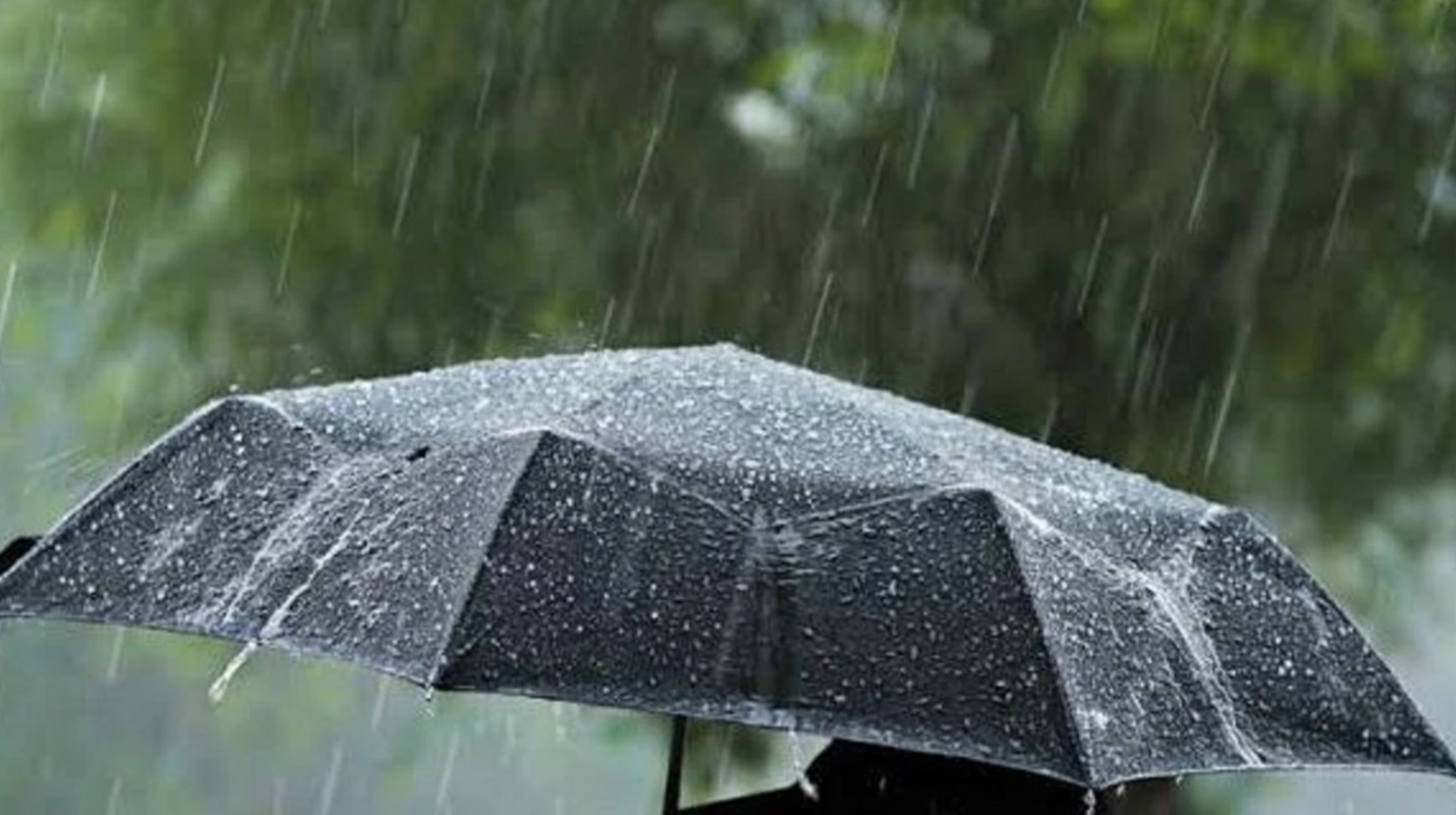 Жексенбіге арналған ауа райы болжамы