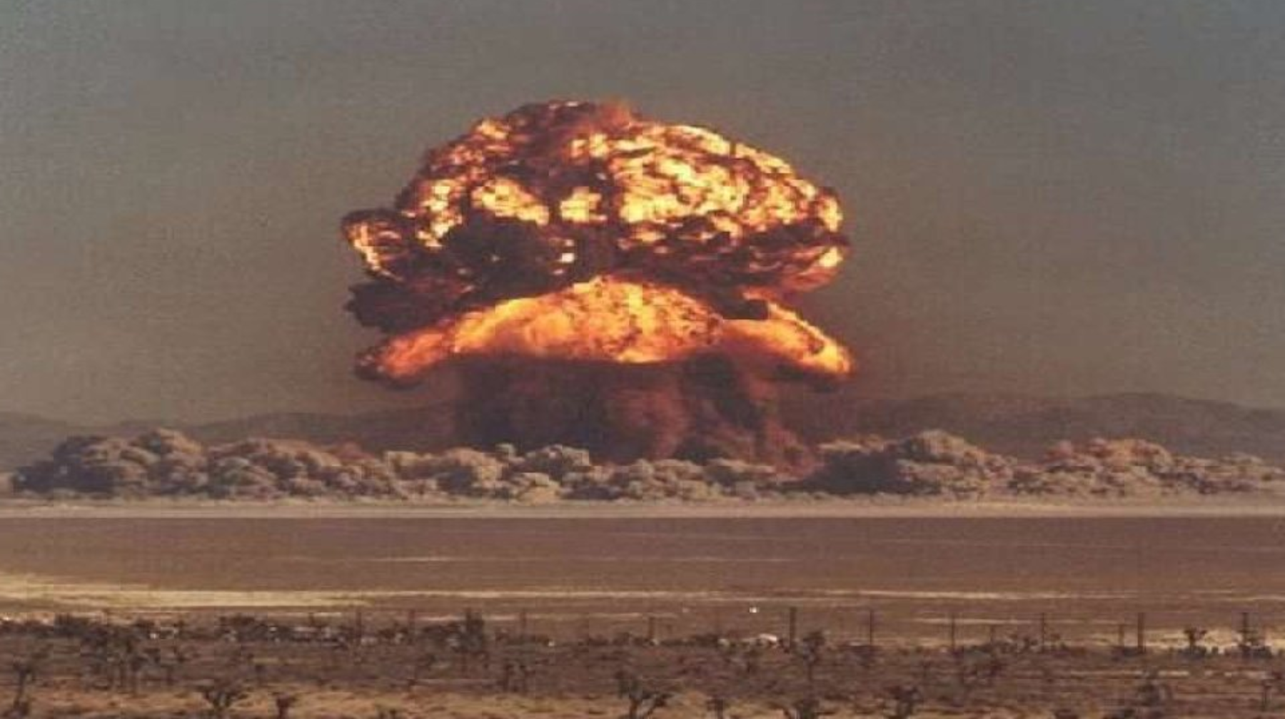 Полигоннан зардап шеккендерге қайтадан әлеуметтік көмек беріле ме?