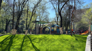 Алматылық өз ауласын өнер туындысына айналдырды