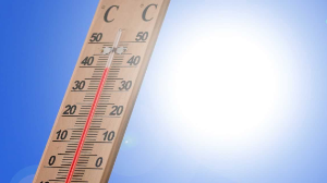 Елімізде күн 43 градусқа дейін ысиды