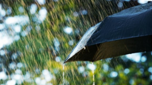 Жел тұрып, жауын жауады