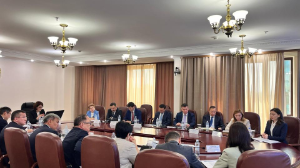 Жыл соңына дейін проблемалы 30 медициналық ұйымды бақылау мен қолдауға ерекше көңіл бөлінеді