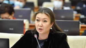 Зәкиева “Бағанашылдағы" жағдайға байланысты Алматы облыс әкімдігін айыптады