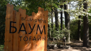 Алматыда осы жылдың маусым айында Баум тоғайы мен Үлкен Алматы каналын абаттандыру басталады