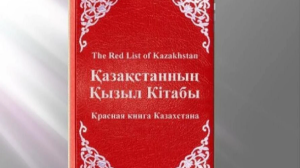 Елімізде жануарлардың Қызыл кітабы жаңартылады